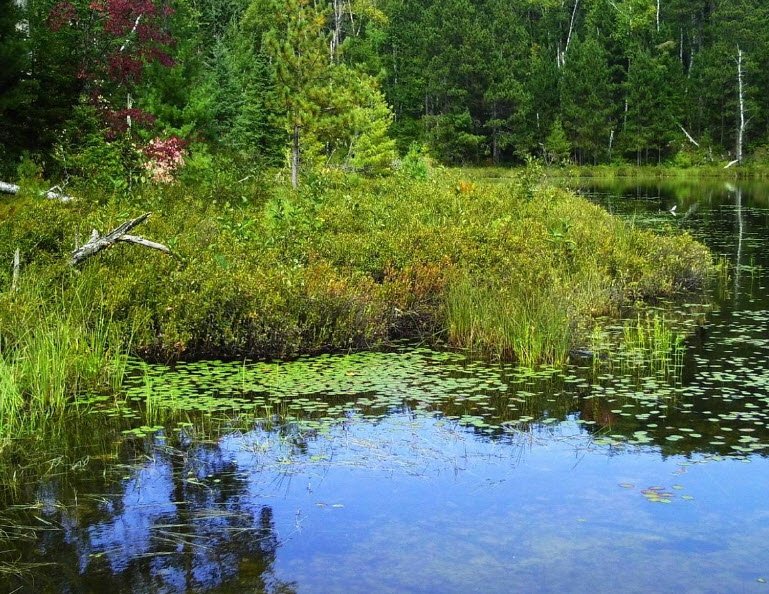 McCarthy Beach State Park, Minnesota, USA